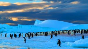 Illustration de l'impact du guano des manchots sur la formation de nuages en Antarctique. Image réalisée par IA.