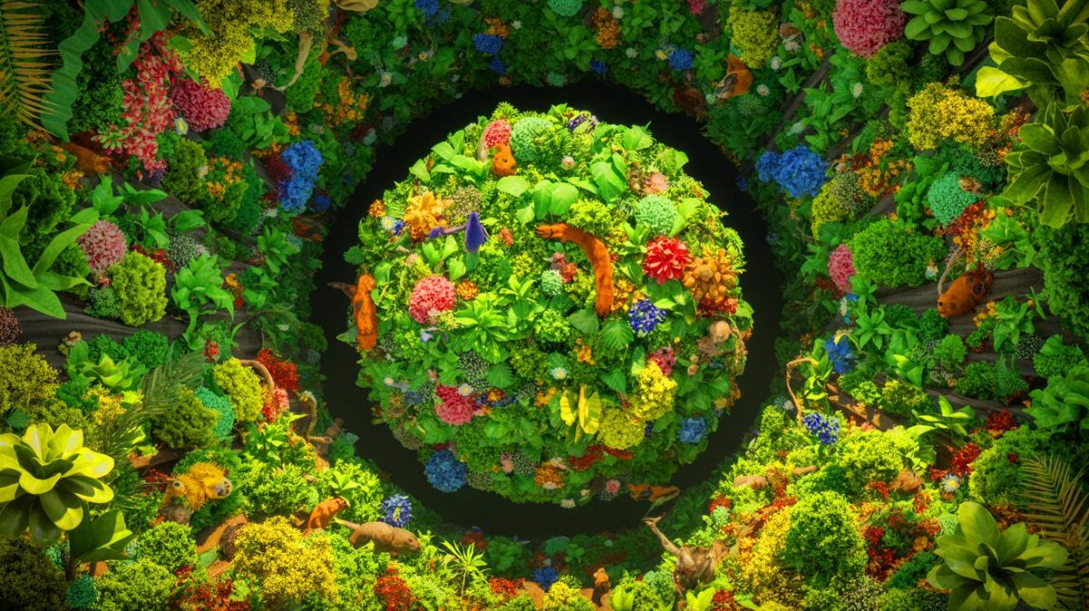 Illustration de la répartition concentrique de la biodiversité terrestre. Image réalisée par IA.