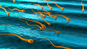 Illustration de spermatozoïdes défiant les lois classiques de la physique en milieu visqueux. Image réalisée par IA.