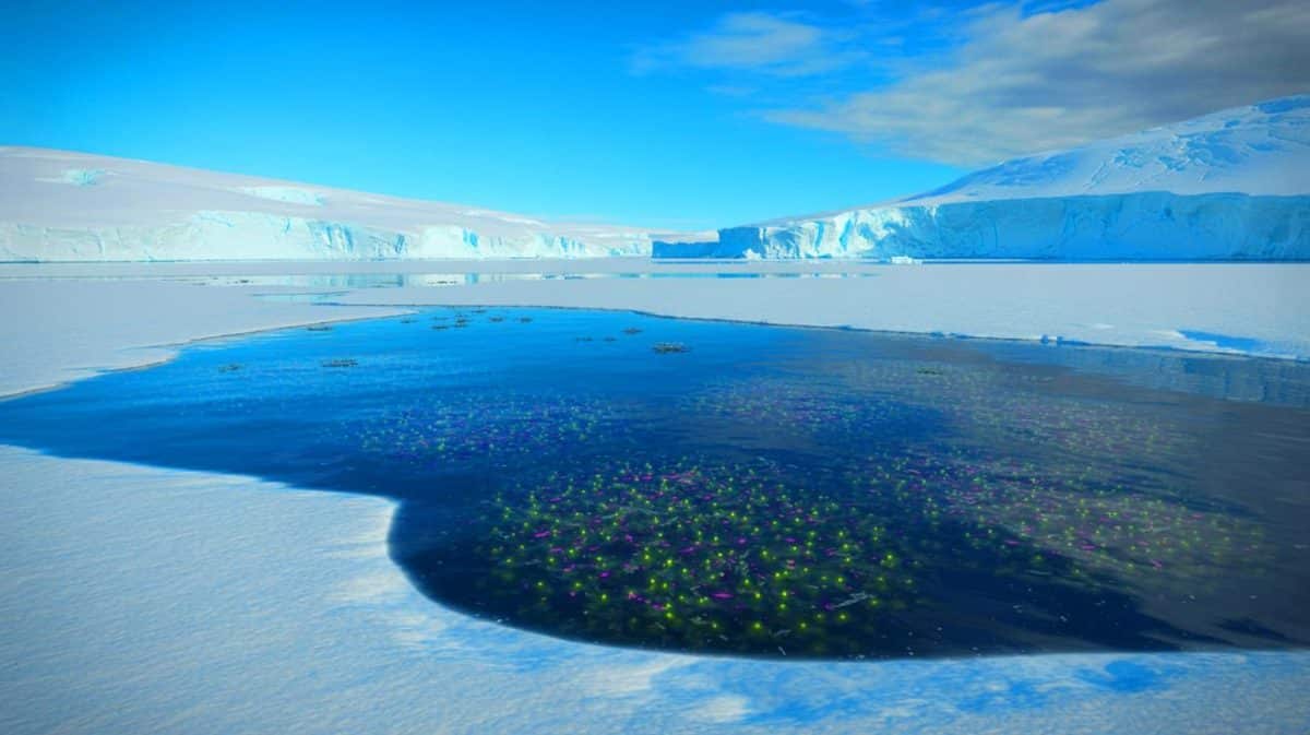 Illustration de mares de glace fondue en Antarctique abritant des micro-organismes diversifiés. Image réalisée par IA.