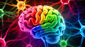 Illustration de la découverte d'un second système d'apprentissage dans le cerveau. Image réalisée par IA.