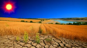 Illustration de records de chaleur et de sécheresse au Royaume-Uni au printemps 2025. Image réalisée par IA.