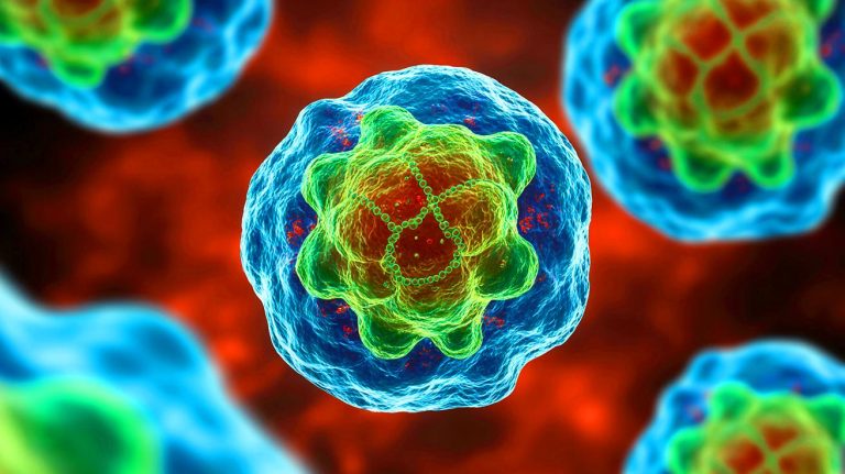 Un paradoxe incroyable découvert dans l&rsquo;évolution par des scientifiques pourrait bientôt bouleverser toutes les règles établies de la biologie moderne