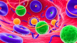Illustration de l'hémifusome, un organite cellulaire récemment découvert, générée par intelligence artificielle.
