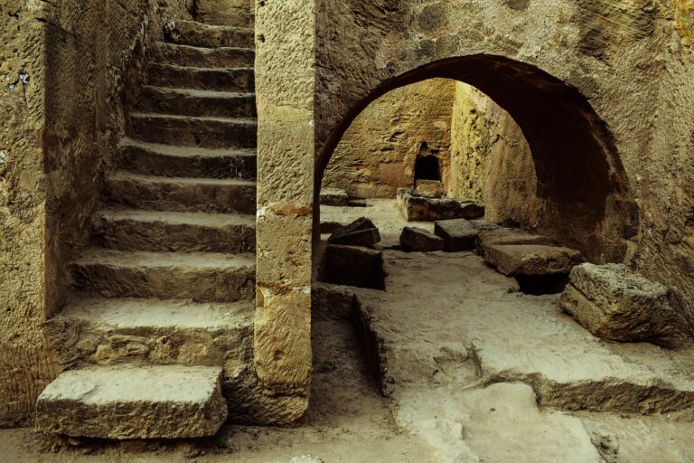 « Cette découverte va bouleverser votre vision du passé » : plongez dans le métier d&rsquo;archéologue avec une exposition ludique qui fascine et surprend les curieux de tous âges