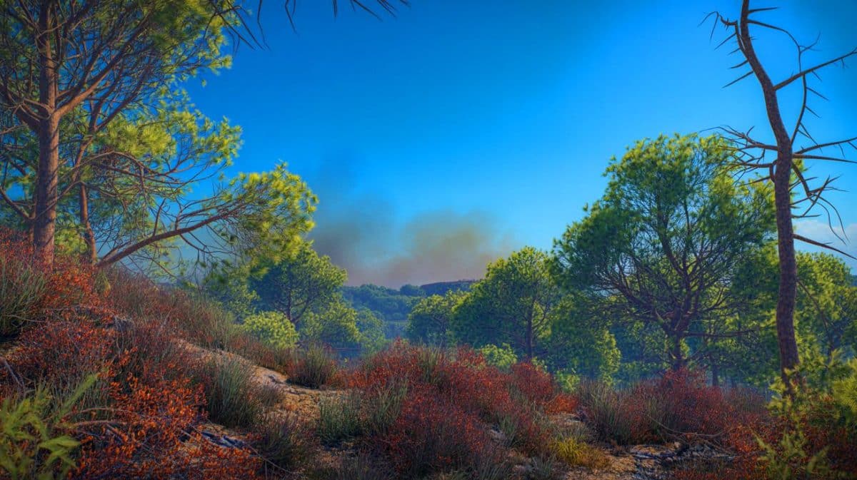 Illustration de la vigilance rouge pour les feux de forêt dans le Sud-Est de la France, générée par intelligence artificielle.