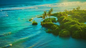 Illustration de l'engloutissement des îles de l'archipel des Tortues en Sierra Leone par la montée des eaux, générée par intelligence artificielle.