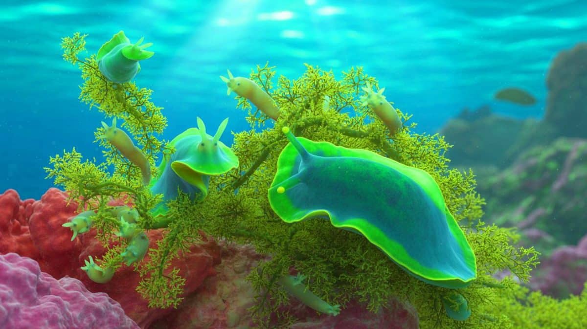 Illustration de limaces de mer sacoglosses utilisant des chloroplastes pour la photosynthèse. Image réalisée par IA.