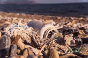 « L&rsquo;océan n&rsquo;est pas encore mort » : une organisation fictive révèle les pressions alarmantes mais résilientes de notre planète bleue face aux défis climatiques majeurs