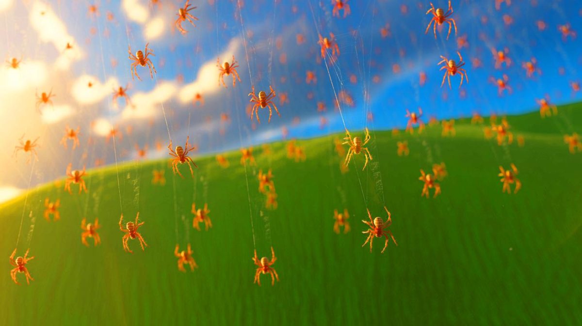 Illustration de pluies d'araignées dans un ciel bleu. Image réalisée par IA.