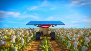 Illustration de robots désherbants solaires dans un champ de coton californien. Image réalisée par IA.