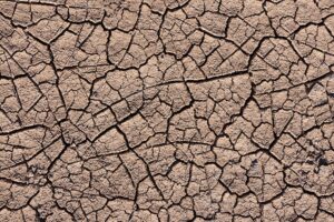 Nappes : du Gard à l’Alsace, la carte inégale d’une sécheresse